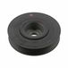 Febi Bilstein 36244 Pulley