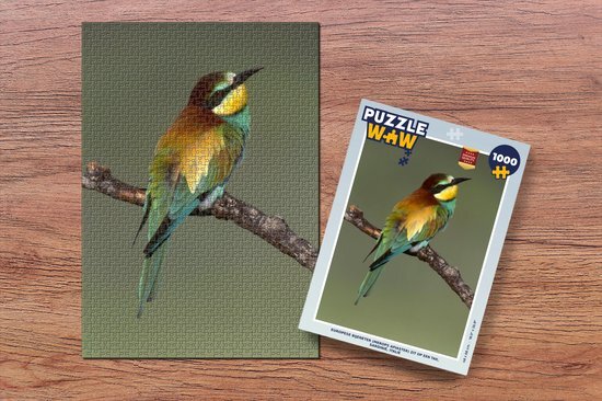 MuchoWow Puzzel Europese bijeneter (Merops apiaster) zit op een tak, Sardinië, Italië - Legpuzzel - Puzzel 1000 stukjes volwassenen