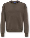 ONLY & SONS JUNIOR Sweatshirt OSJLARRY Sweatshirt