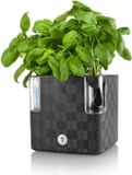 Flower Lover Cobble Slimme kruidenpot met bewateringssysteem Antraciet