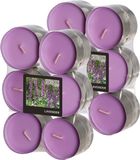 Conpax Candles Geur theelichtjes/waxinelichtjes - Maxi - 24x - Lavender aroma - 8 branduren
