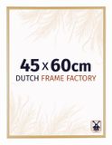 Dutch Frame Factory Fotolijst 45x60 cm - Aluminium - Goud Vintage