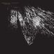 Antikythera Rarenoise Records Antikythera Coloured Vinyl LP