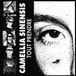 Camellia Sinensis - Tout Prendre (7" Simple)