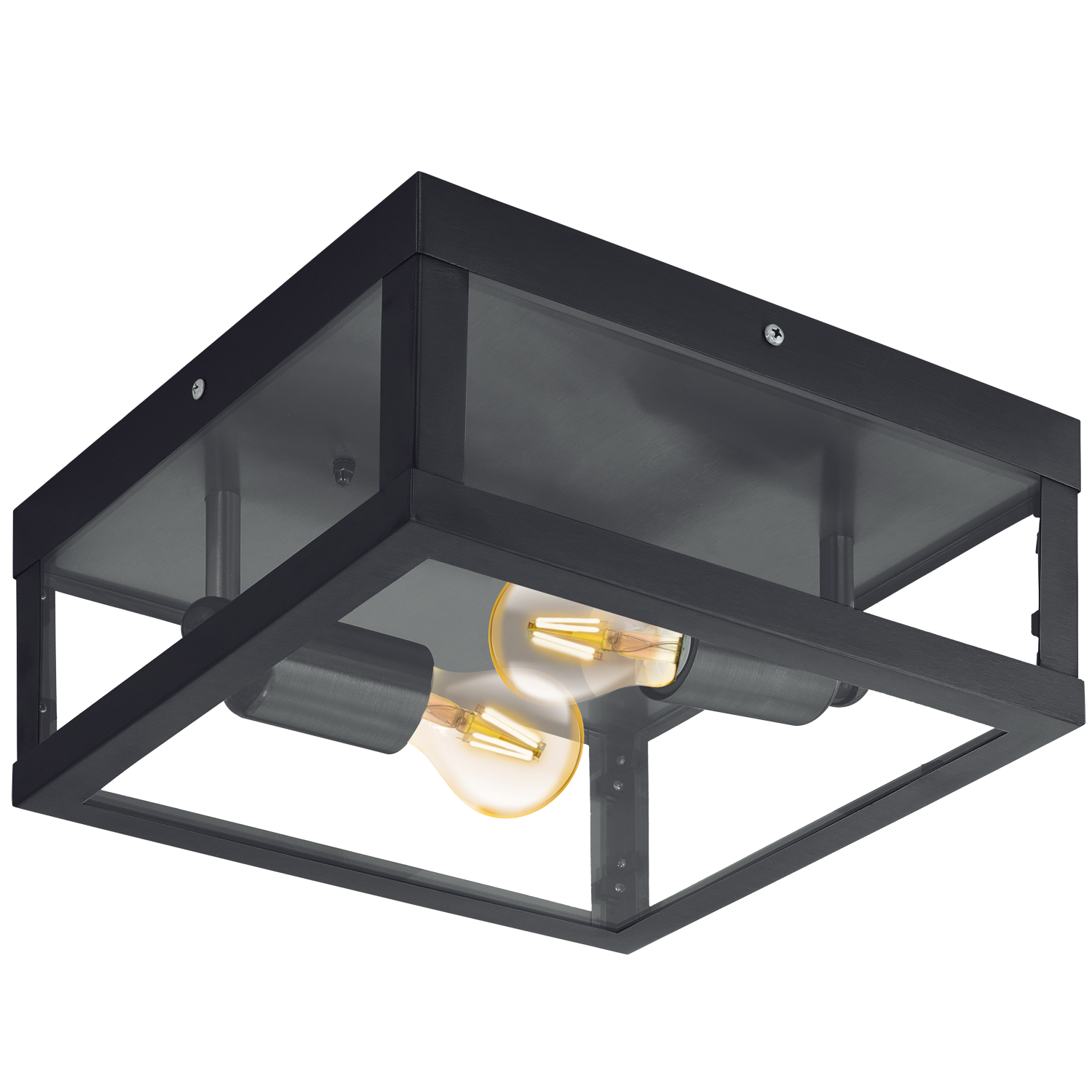 EGLO Alamonte 1 Plafondlamp - Gegalvaniseerd staal - E27 - 29 cm