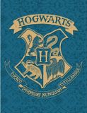 Harry Potter Fleecedeken Hogwarts - Blauw - 130 x 170 cm