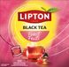 Lipton Feel Good Selection Forest Fruit - 100 Theezakjes - Zwarte Thee Bosvruchten - Grootverpakking - 1 Doos