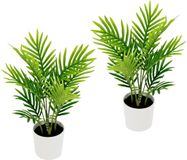 Flair Flower Phoenix Palm Kunstplant