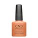 Shellac Daydreaming #465