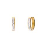 Lucardi Dames Stalen goldplated oorringen met kristal 16mm