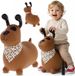 Opblaasbaar Sun Baby Springdier Hond Bruin met Bandana