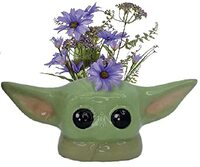 HMB STAR WARS - Het kind - Pot de fleur muurschildering