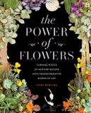 The Rock Point The Power of Flowers