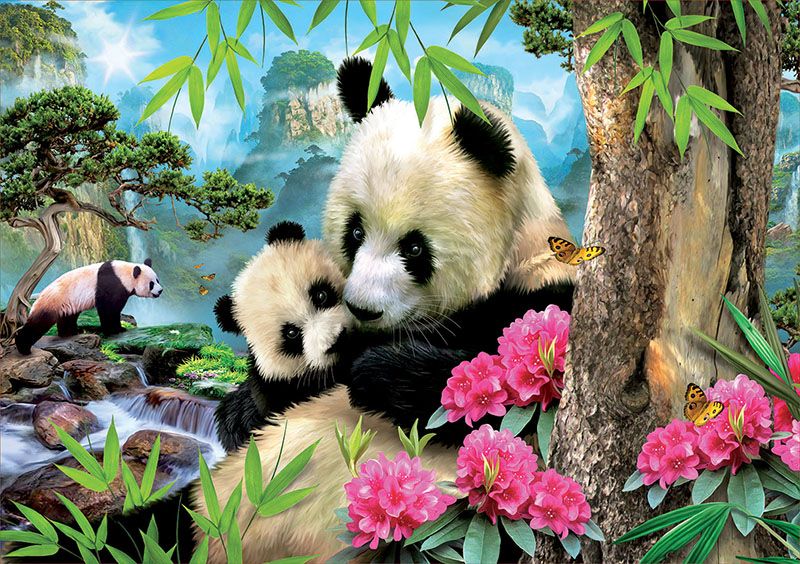 Educa Panda - 1000 stukjes Puzzel - Meerkleurig