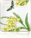 Villeroy & Boch Amazonia Ontbijtbord 23x23cm