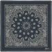 Barts Foulard Rigga Femme