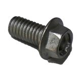 TE Aprilia TE schroef met flens, M6x12 mm, AP8152277