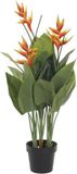 DKD Home Decor Decoratieve plant Oranje Polyester Cement Groen PP Paradijsvogel (70 x 45 x 120 cm)