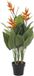 DKD Home Decor Decoratieve plant Oranje Polyester Cement Groen PP Paradijsvogel (70 x 45 x 120 cm)