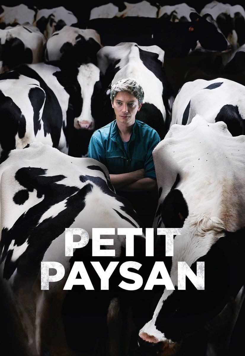 SOURCE 1 Petit Paysan - 8718836863837