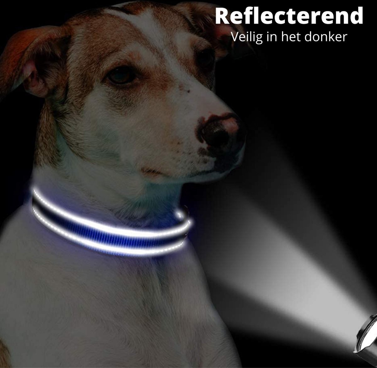 Sharon B Halsband hond - reflecterend - donkerblauw - maat XS - oersterk - waterdicht - hondenhalsband - voor kleine hondjes - met veiligheidssluiting - geschikt voor iedere hondenriem