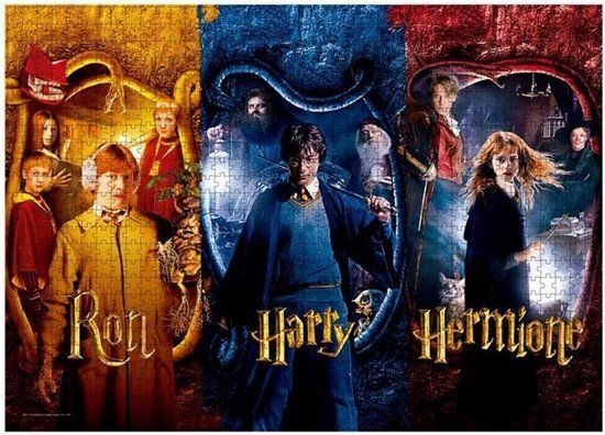 Harry Potter Ron, Harry and Hermione - 1000 stukjes Unisex Puzzel - Neutraal - Standard