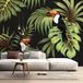 Toucans Papier Peint Panoramique - 390 cm x 260 cm