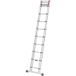 Hailo Flexiline Échelle télescopique 13 échelons 4,50 m hauteur de travail