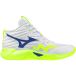 Mizuno Wave Momentum Pro Mid Indoor Schoenen