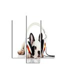 Homemania Wandafbeelding, hondenmotief, 3-delig, dieren, woonkamer, slaapkamer, meerkleurig, 57 x 0,3 x 60 cm, HM203MDF58, MDF