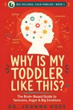 Why Libri GmbH Big Feelings, Calm Families- Why Is My Toddler Like This?