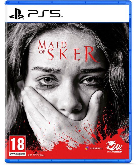 Curveball Leisure LTD Maid Of Sker - PS5