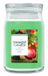 Yankee Candle Tree Trimming Kaars Rond Citrus Groen 1 stuk(s)