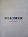 Bullonerie Voorgemonteerde bril Ml17 bruin +2,00 dioptrieën - 50 g