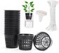 Azalia 12 Pcs 3" Net Cup Qualité Maille Pots/Paniers Avec Cordon Mèche Auto-arrosage & Étiquettes Pour Jardin Hydroponie Plantes Étang Orchidée Croissance
