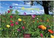 Blumenwiese Casares Fine Art Edition Blumenwiese Kalender 2027 - Wandkalender | Fotokalender Naturkalender 35x50cm | Wunderschöne Fotos der blühenden Natur
