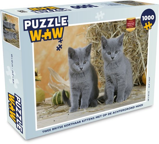 MuchoWow Puzzel Twee Britse korthaar kittens met hooi - Legpuzzel - Puzzel 1000 stukjes volwassenen - Sinterklaas cadeautjes - Sinterklaas voor grote kinderen