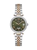 Gc Watches Gc Z01010L9MF Flair dameshorloge