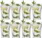 Royal Leerdam 8x Drinkglazen/waterglazen 440 ml Oban serie