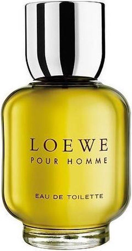 Loewe Pour Homme / 100 ml / Mannen