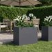 vidaXL Plantenbak Antraciet 80 x 40 x 60 cm Koudgewalst staal