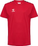 Hummel Kindersportshirt Hmlauthentic Pl Jersey S/S Kids 219965