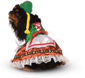Oktoberfest Sweety Pet Suit, Medium