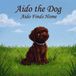 Aido Finds Home