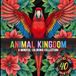 Animal Kingdom: Wild Animal Coloring Book for Adults & Teens
