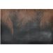 Papier peint panoramique feuilles 130 cm x 87 cm