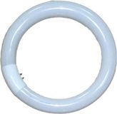 Falcon Eyes 291076 Fluorescente Lamp - 28W - 5500K - Daglicht