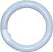 Falcon Eyes 291076 Fluorescente Lamp - 28W - 5500K - Daglicht