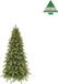 Triumph Tree Sherwood Sapin de Noël artificiel avec éclairage