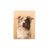 DRAEGER PARIS 1886 Kleine wandkalender 13 x 18 cm 2026 – thema honden – 12 maanden – FSC-papier – afneembare illustraties